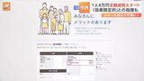 定額減税、専門家「効果は限定的」と指摘 企業の経理から「ややこしい」の声も|TBS NEWS DIG