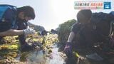 【SDGs】海の生き物の魅力を発信! 全国的にも珍しい “水族館部”の活動に迫る!|TBS NEWS DIG