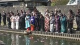 悲劇のヒロイン「お吉」をしのぶ 身を投げたとされる川に鯉を放流 下田市で「お吉祭り」|TBS NEWS DIG
