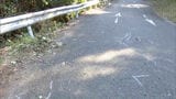 峠道で車横転 少女2人死傷させた男に懲役3年6か月の実刑判決 ”箱乗り”と横転の因果関係認めず 福岡地裁|TBS NEWS DIG