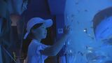 「地震がなかったように楽しめた」のとじま水族館が一部営業再開|TBS NEWS DIG