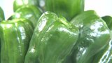 「子どもたちに食べてもらいたい」県産ピーマン旬入り宣言 西日本有数の生産量 大分 | 大分のニュース|OBS NEWS|大分放送