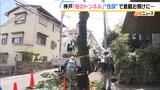 長年親しまれた「桜のトンネル」でソメイヨシノの老木の伐採始まる 調査で“危険な状況にある”と判明 元の景観に戻るには10年以上かかる見込み 神戸・灘区|TBS NEWS DIG