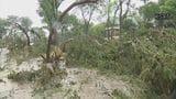 米・テキサスで鉄砲水、13人死亡 サマーキャンプの子ども23人行方不明|TBS NEWS DIG