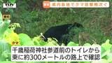 山形市千歳山の麓でクマの目撃　県内各地でも出没相次ぐ（山形）　|　山形のニュース│TUYテレビユー山形
