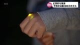 初夏の風物詩「ホタル」が舞い始める 宮崎市・平和台公園 | MRTニュース | MRT宮崎放送