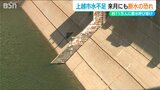 上越市は深刻な水不足「このまま降らなければ来月にも断水の恐れ」稲の品質低下も懸念される猛暑の新潟県内|TBS NEWS DIG