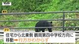 クマが再び同じ柿の木へ...鶴岡市で緊急銃猟によりクマを駆除　新庄市では駅近くの銀行の駐車場にクマ（山形）　|　山形のニュース│TUYテレビユー山形