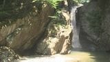 「すごく涼しくて夏にぴったり」21mの高さから注ぐ 滝の迫力と清涼感 一之釜の男滝 山梨市|TBS NEWS DIG