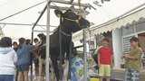 「牛さんも結構大変だなぁ」小学生が乳しぼりに挑戦 体験授業“モーモースクール” 大分 | 大分のニュース|OBS NEWS|大分放送