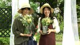 春の花を使いブーケ作り ティータイムで癒しのひととき | SBC NEWS | 長野のニュース | SBC信越放送