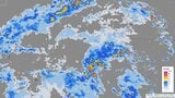 24日頃にかけ警報級の大雨に警戒 沖縄地方 大気の状態が不安定になるおそれ|TBS NEWS DIG