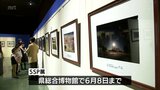 自然風景や生き物の写真などを展示　「ＳＳＰ展」宮崎県総合博物館で始まる|TBS NEWS DIG