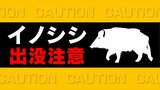 イノシシの親子か　大小2頭を目撃　9日に目撃されたブドウ畑近く　市が注意を呼び掛け　山梨・甲州市|TBS NEWS DIG