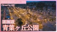 笑顔広がる祭りの一日【JNN sakuraドローンDIG 2025】|TBS NEWS DIG