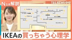 「IKEA」が100円ホットドッグ売る理由…滞在時間の長さと購買意欲の関係、ついつい買っちゃう心理学【Nスタ解説】| TBS CROSS DIG with Bloomberg