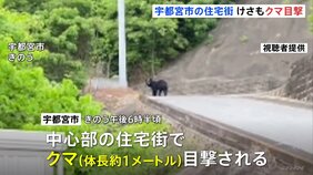 けさも…「目を疑った」宇都宮市の住宅街で目撃相次ぐ 警察には約20件の通報 6日夕方には体長1mほどのクマ目撃…警察や猟友会などが警戒続ける|TBS NEWS DIG
