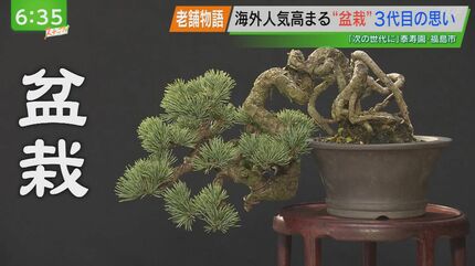 海外人気高まる『盆栽』 3代目の思い | 福島のニュース│TUF (1ページ)