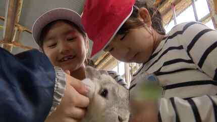 命の大切さ学ぶ教育が“命を弄ぶ”結果にならないために…学校での動物