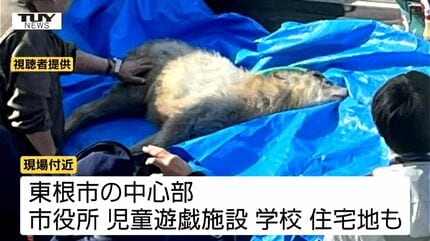 襲われツノが足に当たりカモシカが市の中心部に出没 70代