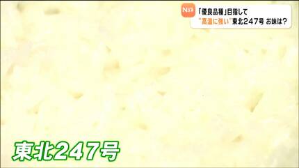 高温に強い新品種米「東北247号」食味 ひとめぼれに遜色ない味 宮城