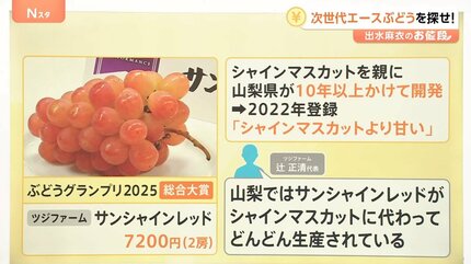 あなたはどなたとこのシャインマスカットをシェアしますか？ Amazon.co.jp: コカ・コーラ い・ろ・は・す シャインマスカット