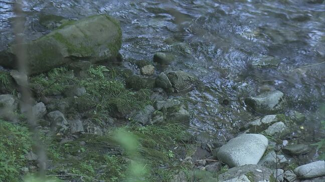 男女2人を殺人の疑いで再逮捕 岐阜･本巣市の“死体遺棄事件” 53歳女性の首を圧迫し窒息死させたか|TBS NEWS DIG