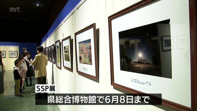 自然風景や生き物の写真などを展示 「SSP展」宮崎県総合博物館で始まる|TBS NEWS DIG
