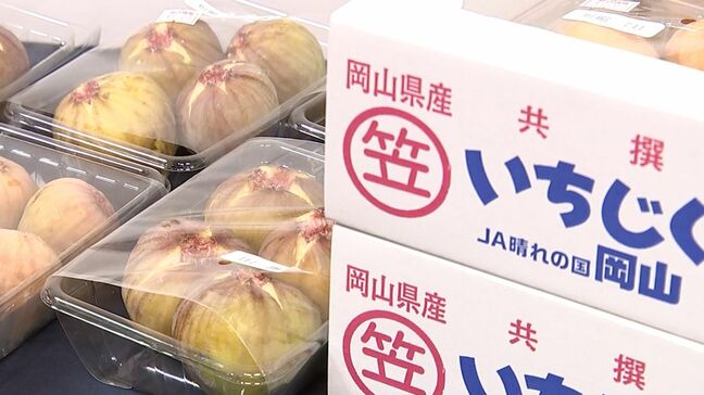 イチジクに味付け海苔に北木石のアクセサリー　特産品約90種類を集めた「かさおかフェア」　岡山高島屋で2日まで【岡山】|TBS NEWS DIG