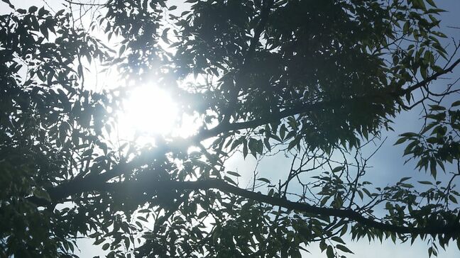 香川県高松市で37.6℃と今季最高を記録　全国でも2番目に高い気温に　岡山でも36.5℃で今季最高に|TBS NEWS DIG