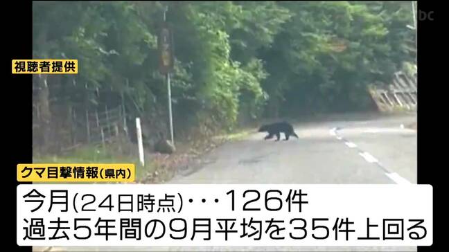 「クマ出没警報」を10月末まで延長 9月12日には宮城県内で2025年度初の人身被害も|TBS NEWS DIG