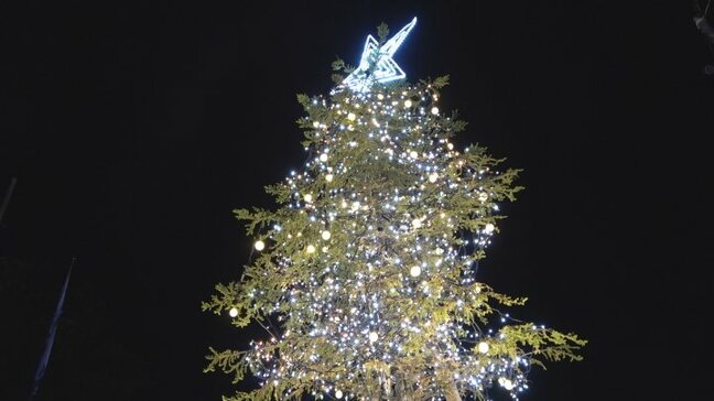 防災公園にイルミネーション　高さ4メートルの赤エゾマツや公園を囲むフェンスが鮮やかに輝く　山梨|TBS NEWS DIG