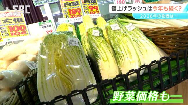 物価の動向は今後どうなる？値上げラッシュとなった2025年　この傾向は続く？続かない？2026年の見通しは？|TBS NEWS DIG