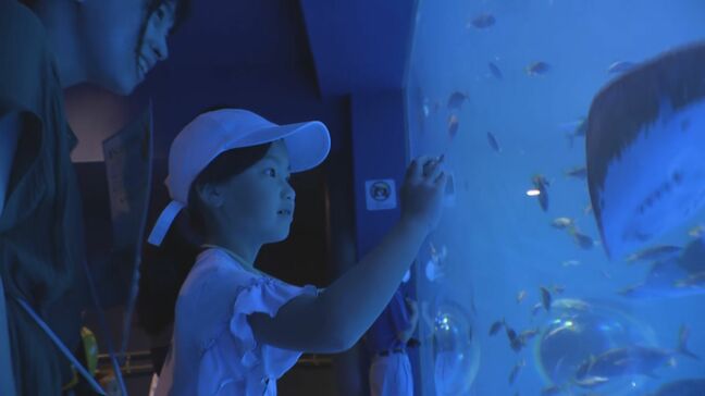 「地震がなかったように楽しめた」のとじま水族館が一部営業再開|TBS NEWS DIG