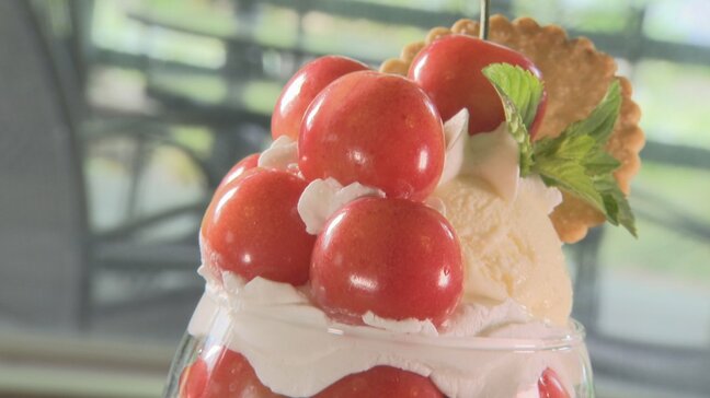 「甘酸っぱさを最初から最後まで」さくらんぼショコラパフェ販売　甲州市・ハーブ庭園旅日記|TBS NEWS DIG