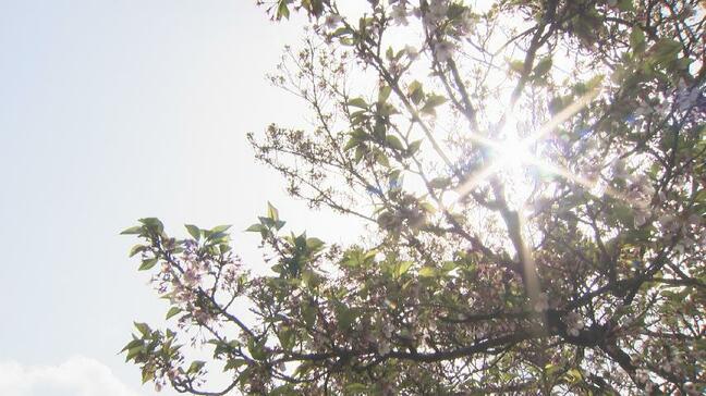 春の熱中症に注意 富山は25℃超え 6月下旬並みの暑さ 来週は25日にかけて気温高い見込み|TBS NEWS DIG