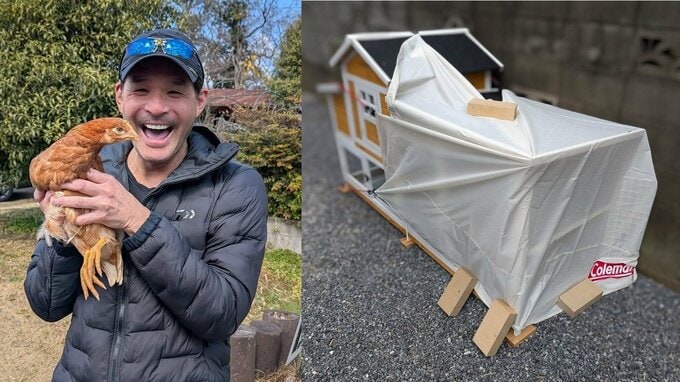 【照英】愛鶏３羽の小屋にアウトドアタープ「最近の雨＆暴風対策」「第一号卵への一歩」|TBS NEWS DIG