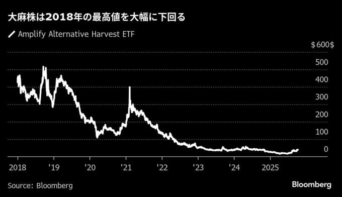 大麻株に再評価の兆し､4銘柄に新規「買い」評価－トランプ発言追い風