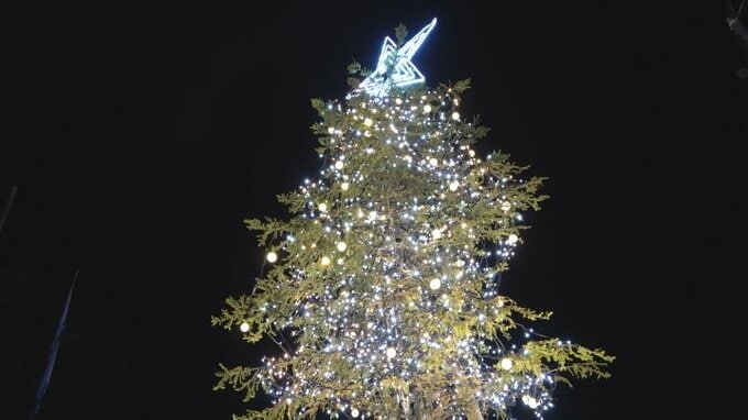 防災公園にイルミネーション　高さ4メートルの赤エゾマツや公園を囲むフェンスが鮮やかに輝く　山梨　|　山梨のニュース | ＵＴＹテレビ山梨