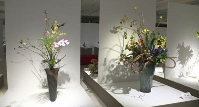 7つの流派から一堂に 石川県いけばな協会展　|　石川県のニュース｜MRO北陸放送