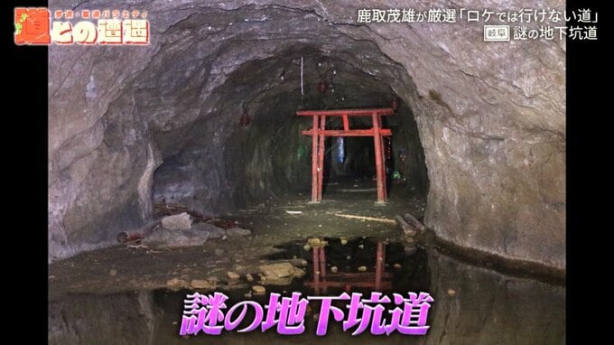 浸水した立ち入り禁止の坑道に佇む“謎の鳥居”！？岐阜にあるかつての軍需工場を道マニアが紹介【道との遭遇】|TBS NEWS DIG