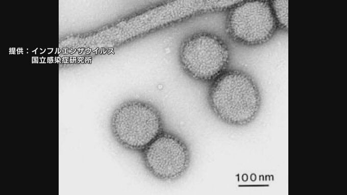 【富山】インフルエンザ患者数　注意報レベルの14.85人に急増　B型が主流で学年閉鎖も…高岡・富山・新川エリアで流行拡大　|　富山のニュース｜天気・防災｜チューリップテレビ