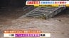 濁流の鴨川、大阪では道路がせり上がる…「ダブル台風」接近前から各地で大雨被害　あす27日にかけてさらに警戒必要【台風・大雨情報】　|　MBSニュース | 関西の最新ニュースを分かりやすく。