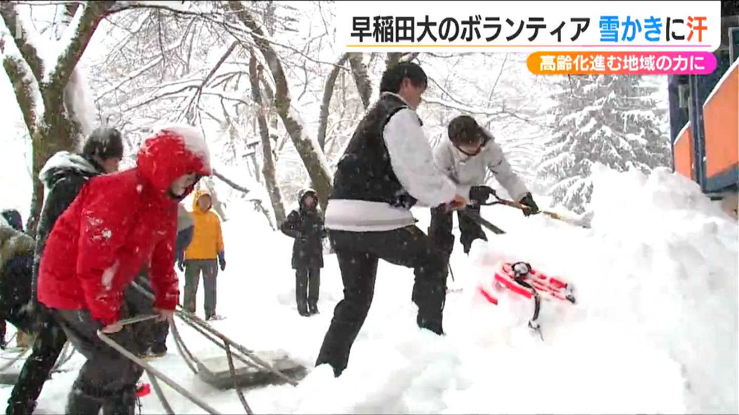 雪降る日 img_4a0c08c8f563632e2c4b408c24