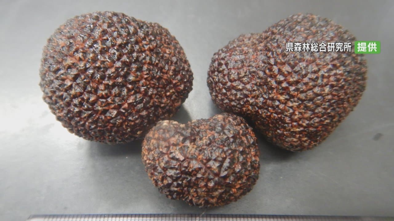 img_4af9f8d4f8f204115ac7b50a91