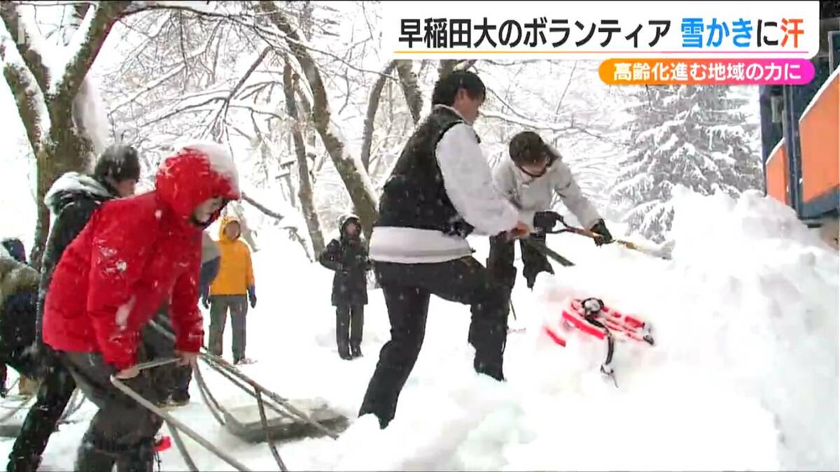 早稲田の学生たちおよそ20人「動いていたらどんどん暑いです」積雪