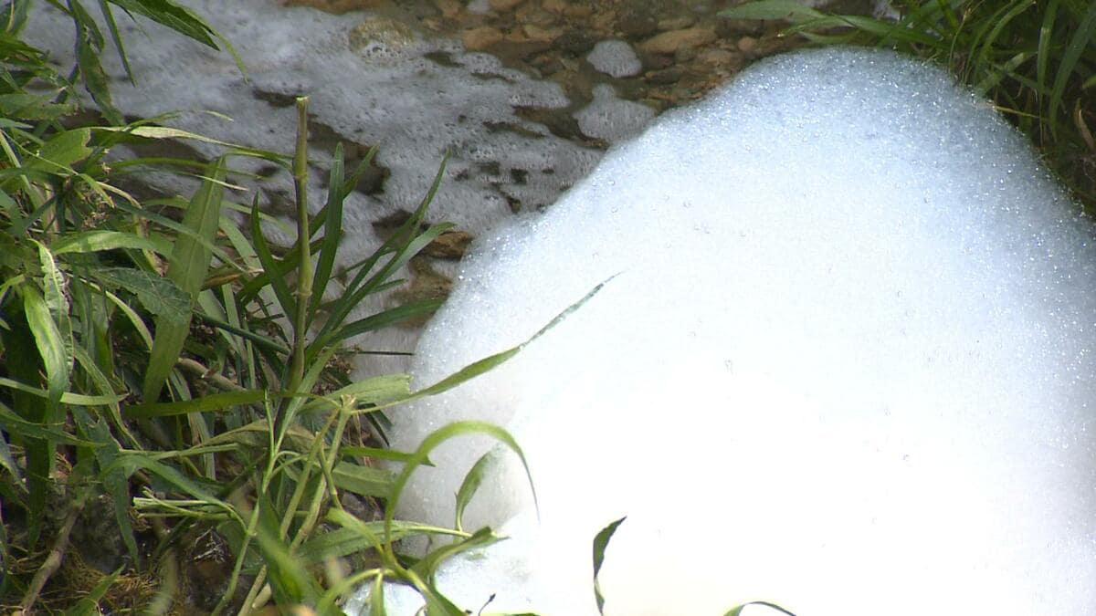 「隠ぺいを疑わざるを得ない」PFAS汚染 “米軍訓練が汚染源の可能性” 認めていたとする一部報道めぐり市民らが米軍回答の公開を求める