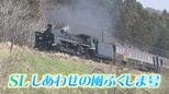 【スケジュール掲載】磐梯山やサクラと競演…「SLしあわせの風ふくしま号」11、12日運行【ふくしまDC】|TBS NEWS DIG