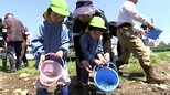 「大きくなあれ!」晴天の下、園児たちがアユの稚魚60kgを放流 市の中心部を流れる中津川で、皆で釣りを楽しむための取り組み 盛岡市|TBS NEWS DIG