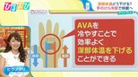 ぐっすり眠るには「手のひら」を冷やす?アスリートも実践する『夏の快眠法』【ひるおび】|TBS NEWS DIG